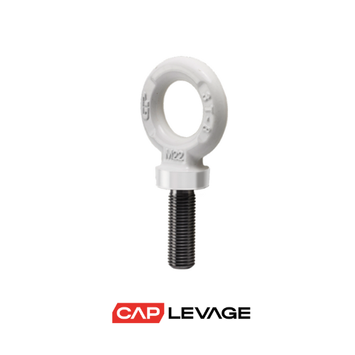 ANNEAU DE LEVAGE MALE M12 GRADE 80 CMU 1 T