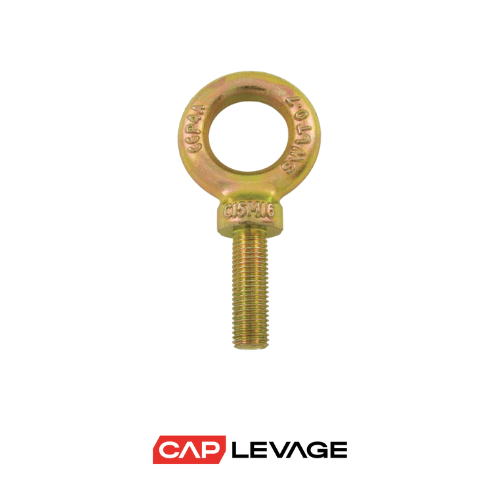 ANNEAU DE LEVAGE MALE BICHROMATÉ M22 TIGE LONGUE CMU1T5
