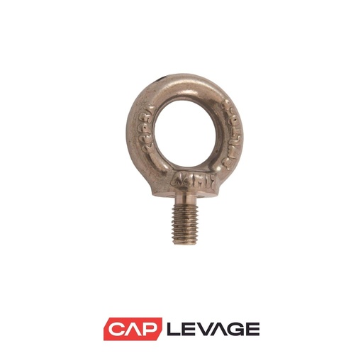 [AMI124] ANNEAU DE LEVAGE MALE M24 INOX 316 CMU 3600 KGS