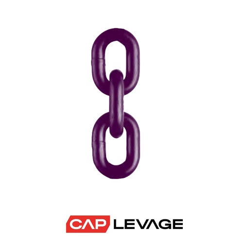 [SA/S13] CHAÎNE DE LEVAGE D13 GRADE 100