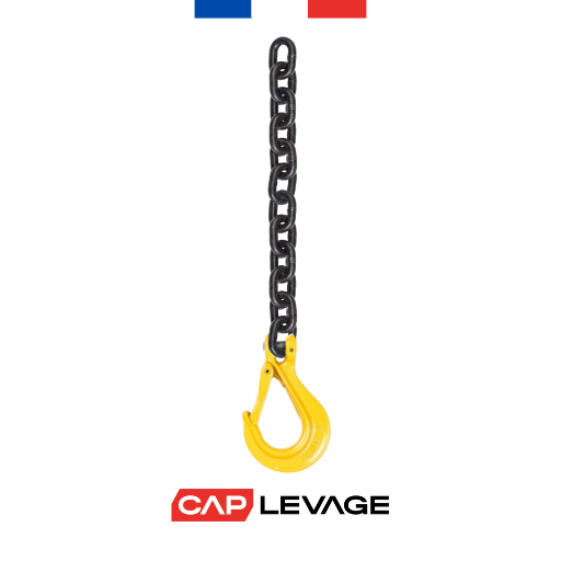 MONTAGE CHAÎNE ARRIMAGE D6 GRADE 80 BOUT LIBRE - CROCHET A LINGUET TMU 2 T