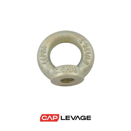 ALFG - ANNEAU DE LEVAGE FEMELLE À VISSER
