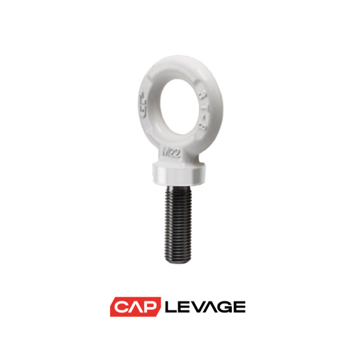 [AL24] ANNEAU DE LEVAGE MALE M24 GRADE 80 CMU 4 T
